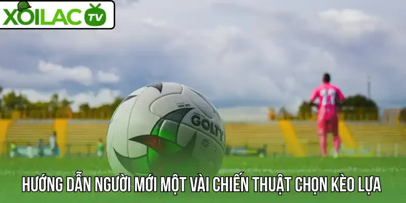 Hướng dẫn người mới một vài chiến thuật chọn kèo lựa