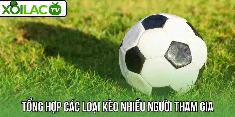 Tổng hợp các loại kèo nhiều người tham gia