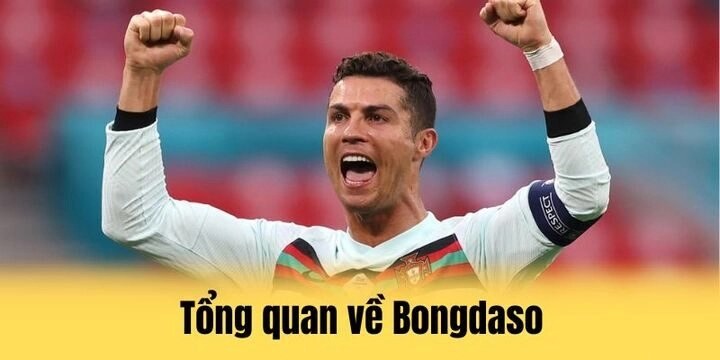 Giới thiệu tổng quan về trang thể thao bongdaso
